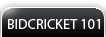 bid_cricket_101