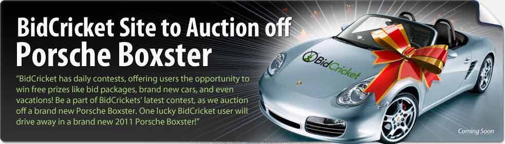 bidcricket_porsche_boxster_image